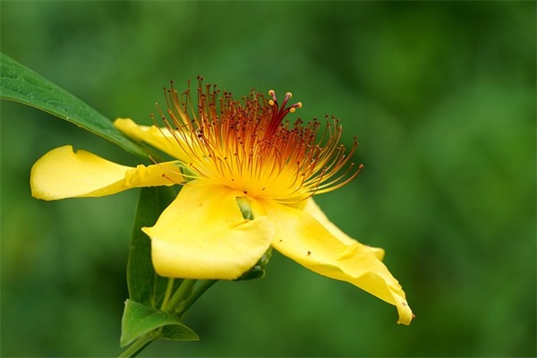 写给男朋友的情话短句 写给男朋友的情话短句