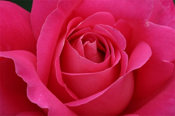 感动老公能哭的一段话 写给老公辛苦的暖心话