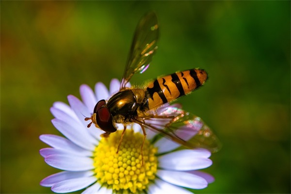 教室里的掌声(精选2篇)