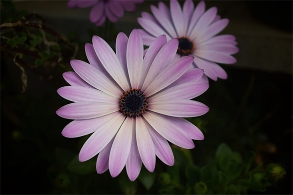 工作正能量口号大全 正能量班级口号大全(精选81句)