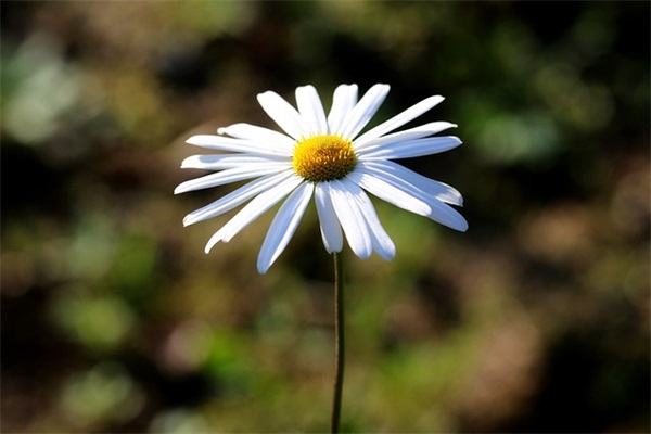 加油站有创意的广告词 最有创意的水果广告词