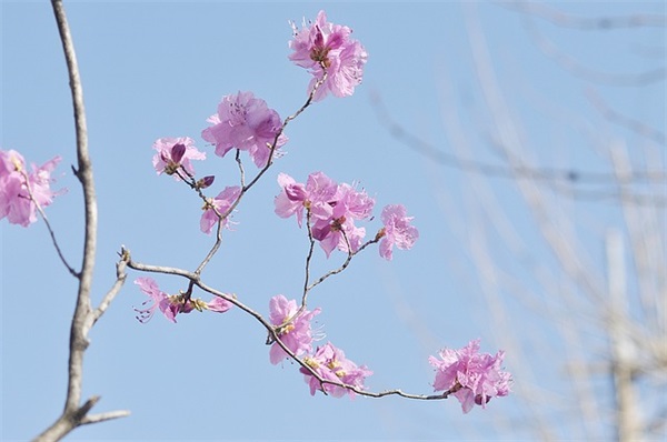 朋友情人节短信86句