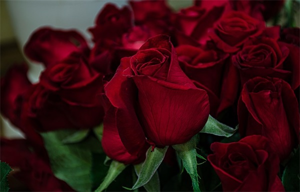 感恩节祝福朋友的短信83句