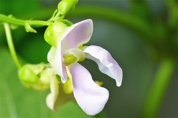 猪年短信大全80句