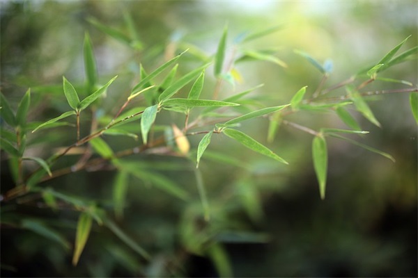 换手机号码通知短信80句