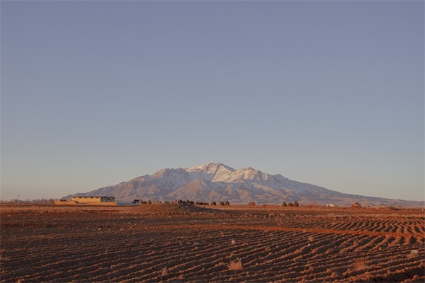 端午节粽子短信81句