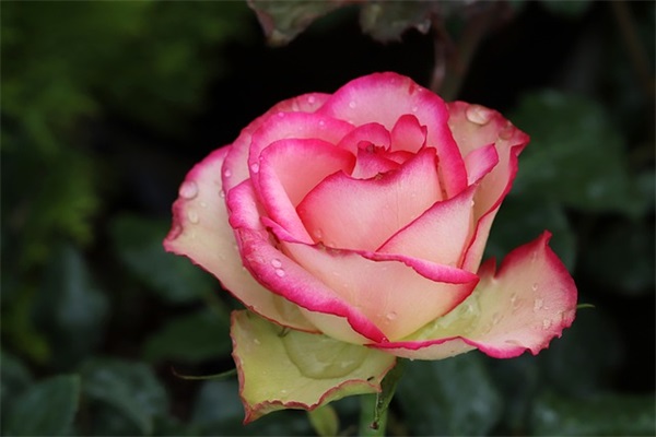 情人搞笑短信2025年91句