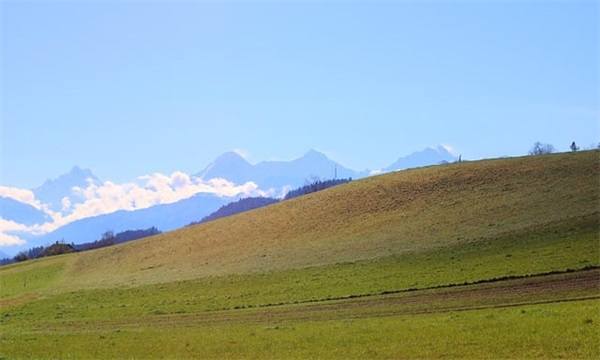 情人节短信表白81句