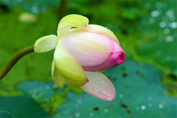 业主生日短信83句