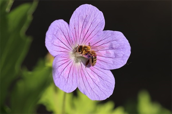 国庆节给客户祝福短信81句