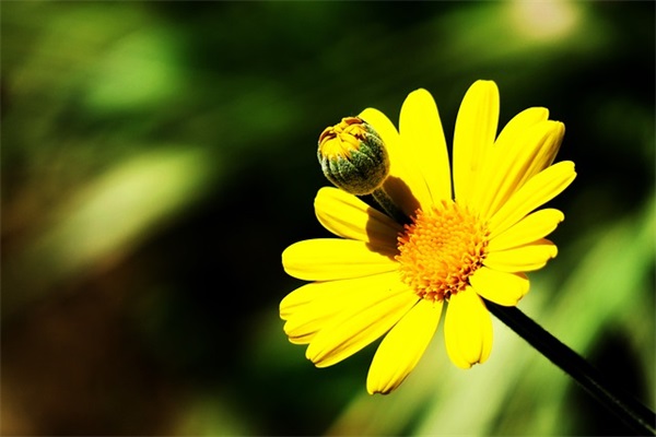 春节短信同学81句
