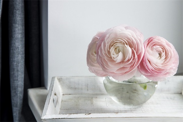 白色情人节表白短信80句