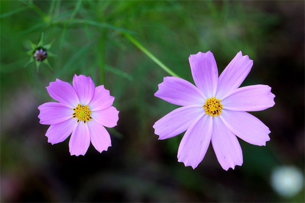 五一节快乐祝福短信81句