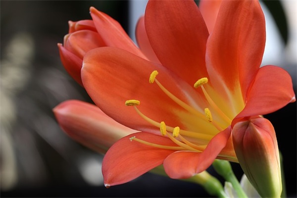 五一客户问候短信82句