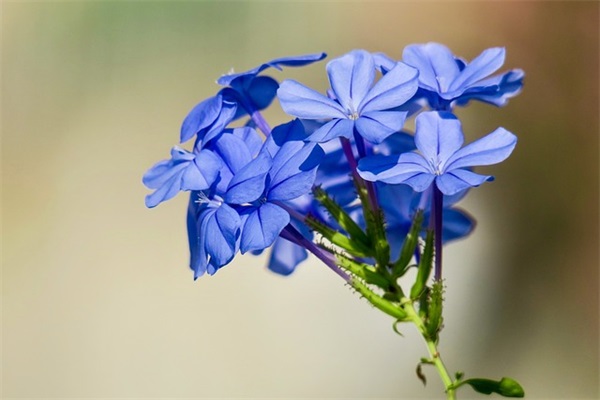 给员工过年短信83句