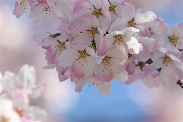 天冷周末祝福短信83句