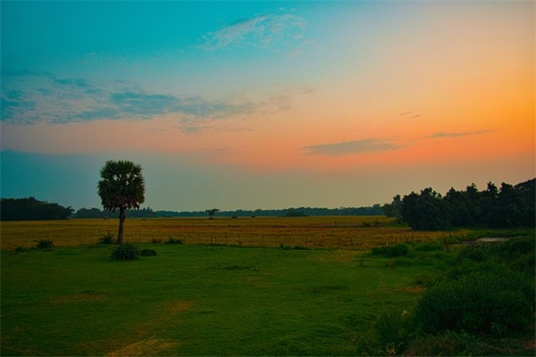 酒店劳动节祝福短信82句