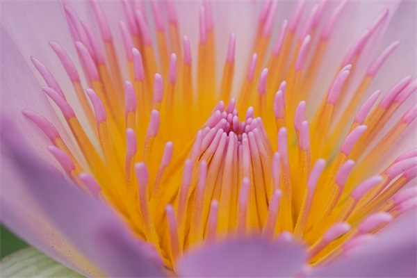 关于父亲节短信81句