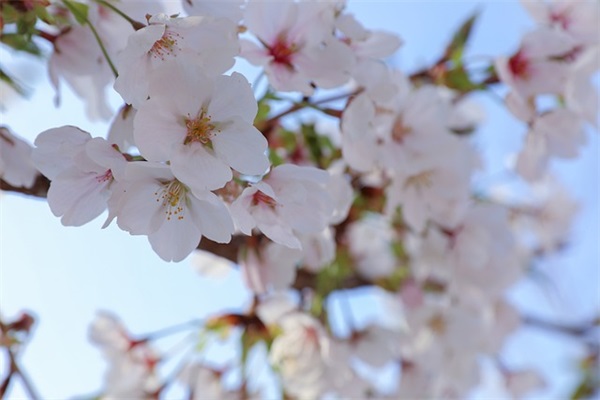 星期一问候短信81句