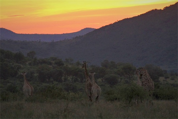 端午节送客户的短信81句