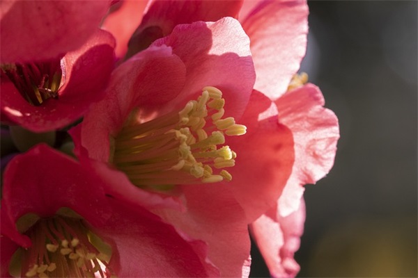 6.1儿童节有趣短信81句