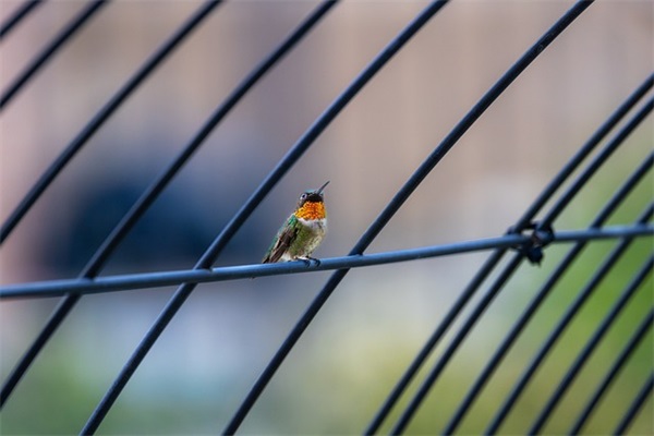 给自己背影唯美简短一句话 给背影杀唯美简短一句话