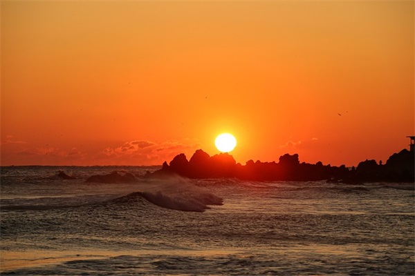 形容一个人奇葩的短句 形容一个人优秀的短句