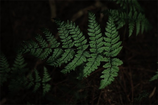 写日记(精选3篇)