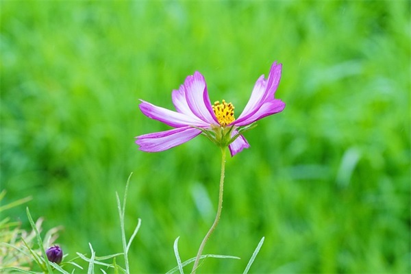 一年级有关天气的谚语(精选79句)