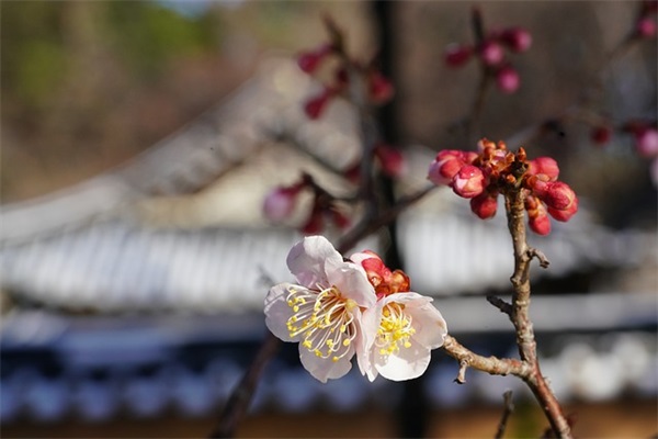 拍手歌仿写儿歌(精选6篇)