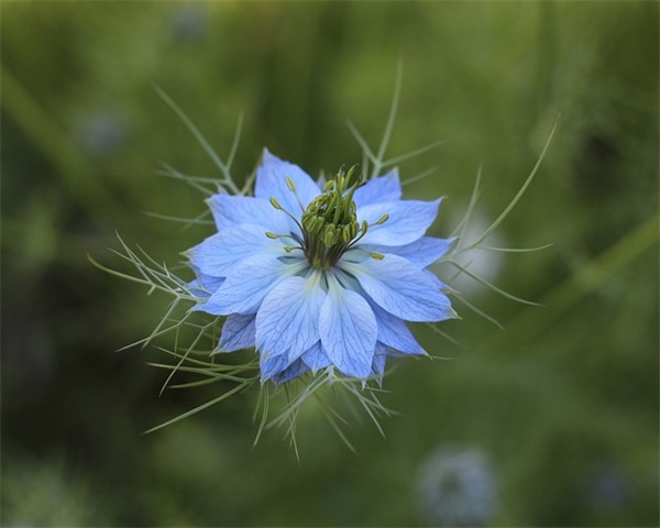 雨天适合配的文字 雨天的优美短句大全(精选37句)