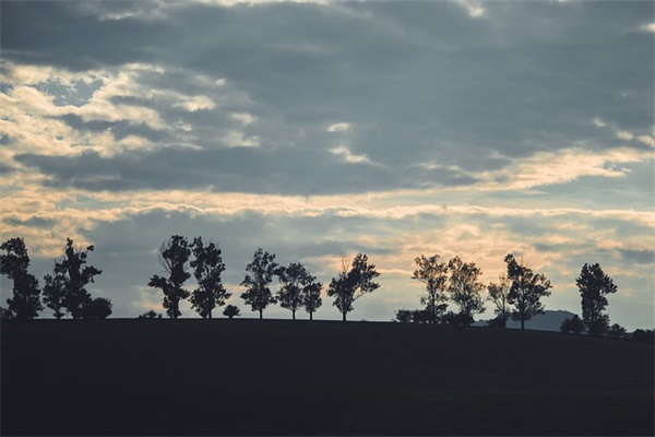 祝公公生日快乐的短句 祝公公生日快乐最暖心的短句