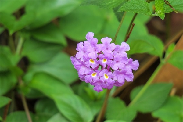 正能量的话语 正能量感悟话(精选35句)