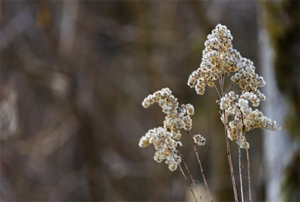 意外的相遇(精选2篇)