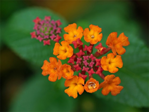 车间调度员岗位职责(精选5篇)