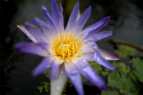 二年级有关天气的谚语(精选79句)