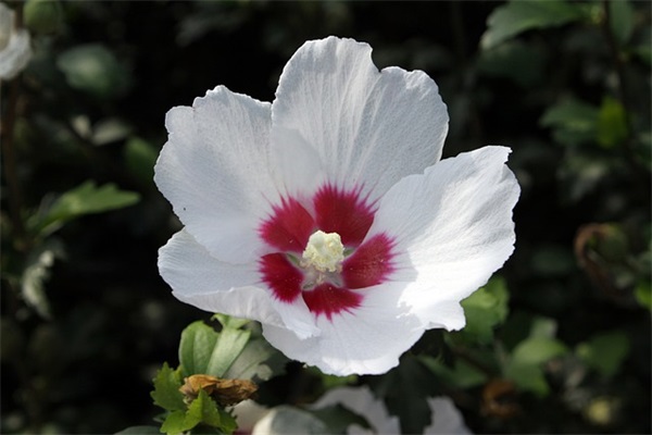 关于励志的文案大全(精选2篇)