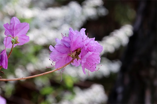 新闻写作(精选4篇)