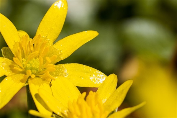 周一客户问候语简短 客户周一早安问候语简短一句话