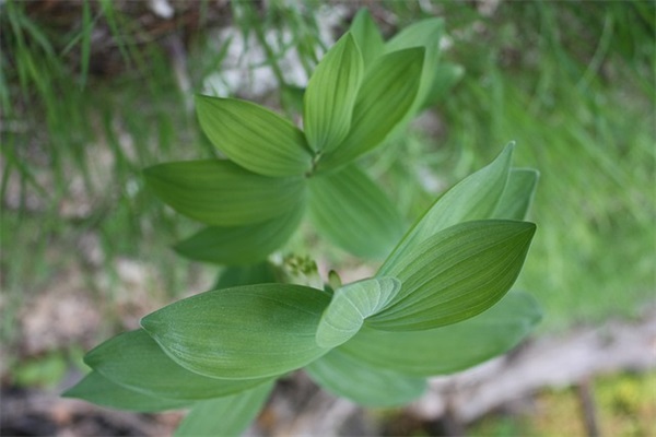 天气谚语一年级下册 天气谚语一年级下册关于雨