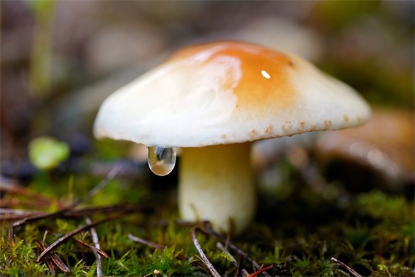 祝女儿十四岁生日短句 祝儿子十四岁生日短句