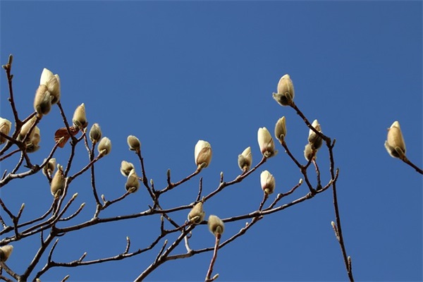 晨语分享每日一条简短早安心语温暖语句(精选33句)