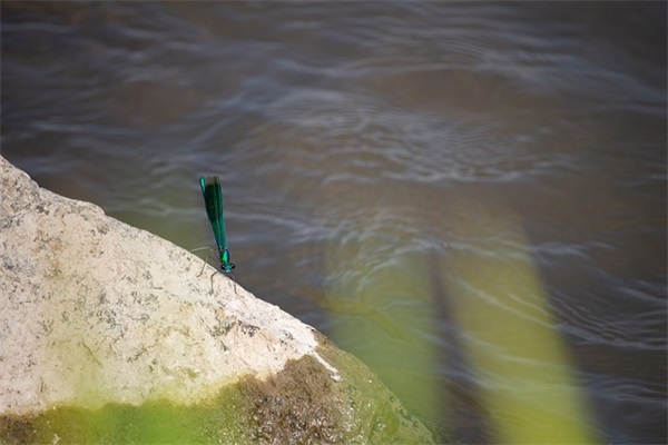 客户认可和信任的一句话(精选32句)