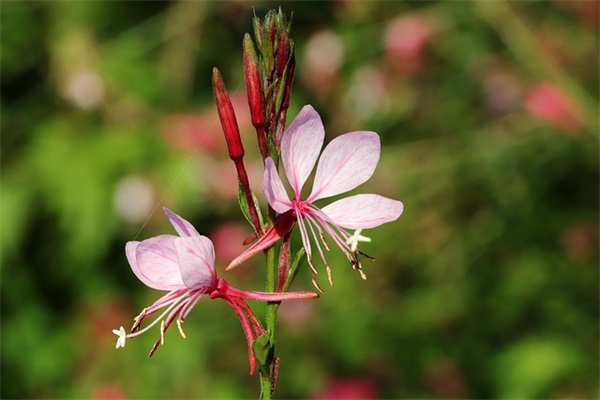 仿写陋室铭写什么铭(精选9篇)