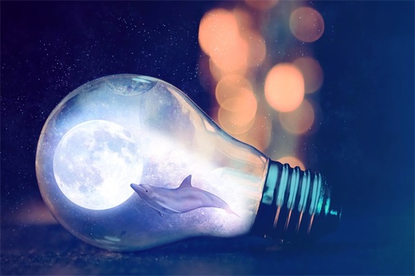 公司副总经理岗位职责(精选4篇)