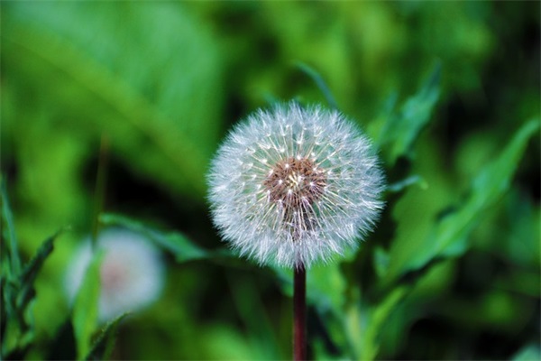 适合爸爸生日时发的朋友圈 适合爸爸生日发的图片