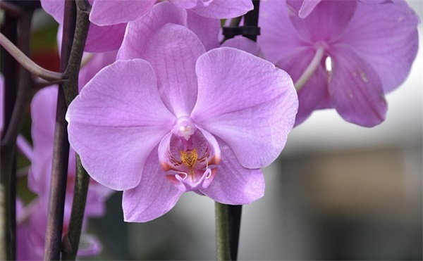 适合合唱的歌曲(精选5篇)