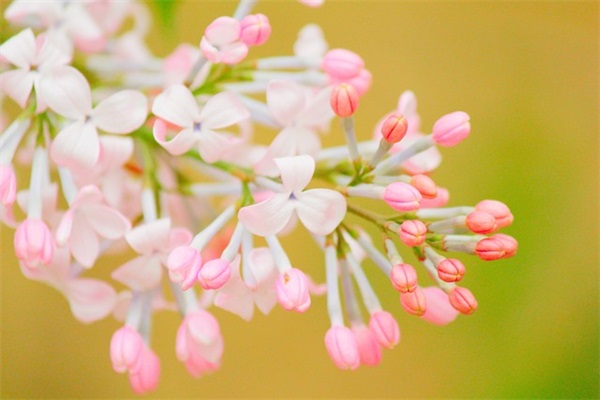 财务工作格言一句话 财务工作格言座右铭(精选42句)