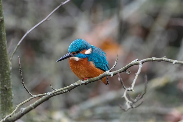 女生卖萌撒娇一段话 让男生抵抗不了的撒娇的话