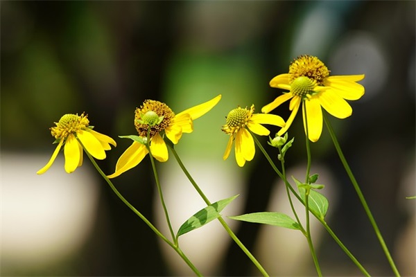 青春短句八字 不负青春的八字短句(精选61句)